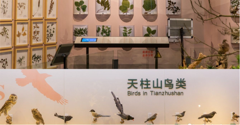 天柱山地質(zhì)公園博物館線(xiàn)上活動(dòng)286.png